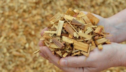 Biodegradable plant-based packaging materials